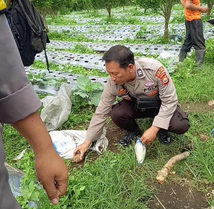 Granat Peninggalan Belanda Ditemukan di Kebun Jeruk, Begini Kondisinya