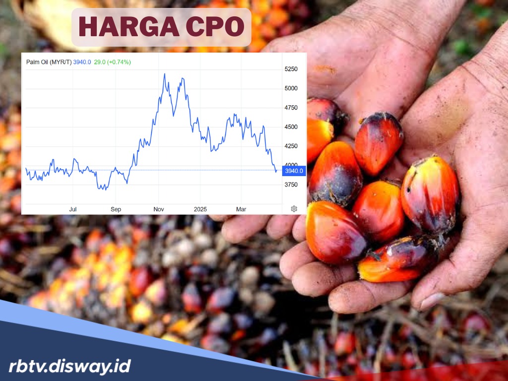 6 Hari Berturut-turut, Harga CPO Merosot, Jadi Segini