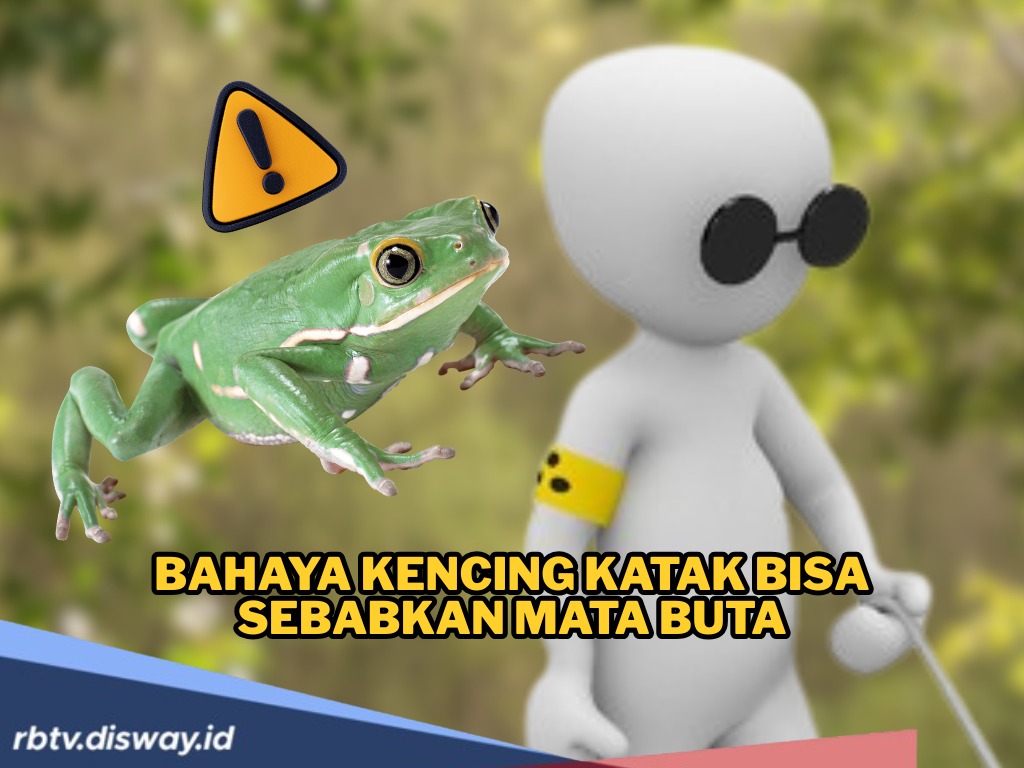 Geger Hujan Katak di Brazil, Benarkah Kena Kencing Katak Bisa Bikin Mata Buta?