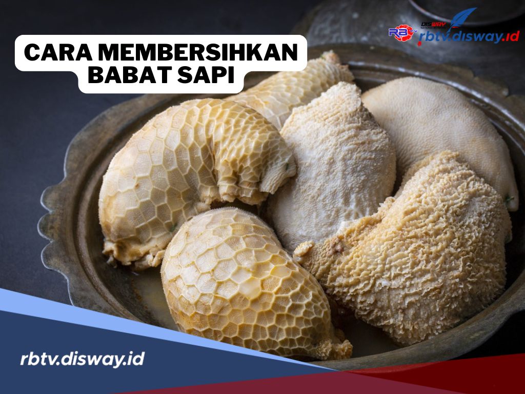 Begini Cara Mudah Membersihkan Babat Sapi, Cukup Gunakan Bahan Dapur