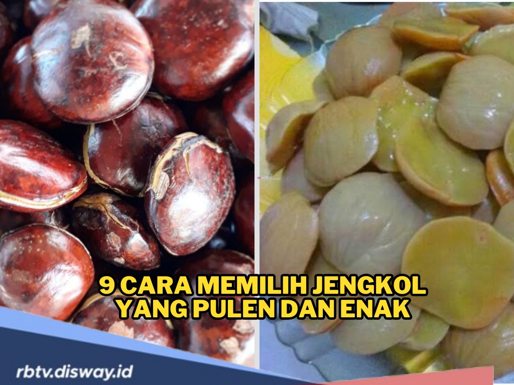 Jengkol Lebih Pulen dan Enak, Ini Dia Cara Memilih Jengkol yang Perlu Anda Ketahui