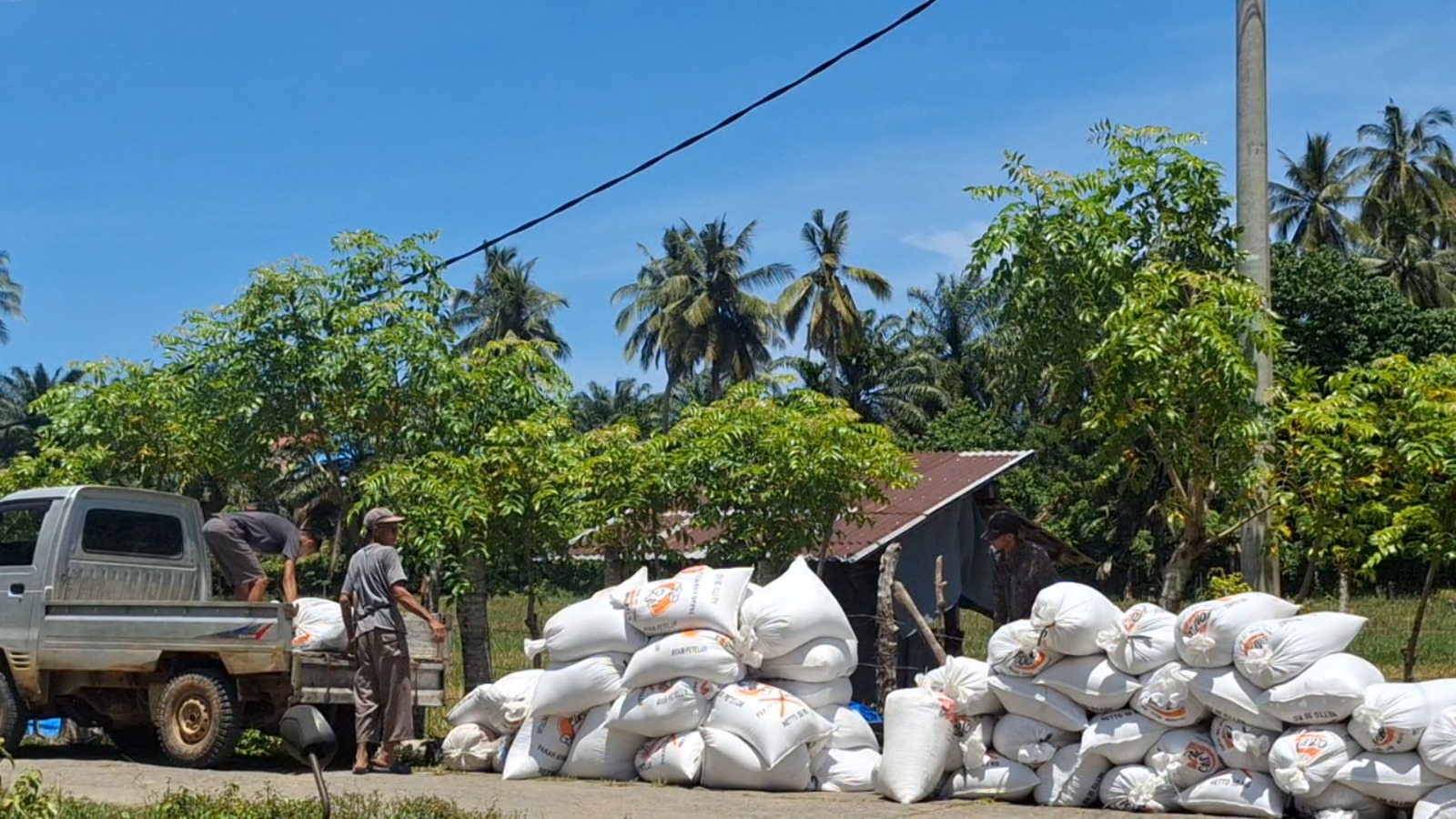 Kadis Pertanian Mukomuko Minta Masyarakat Cepat Lapor jika Pupuk Subsidi Dijual ke Petani Sawit