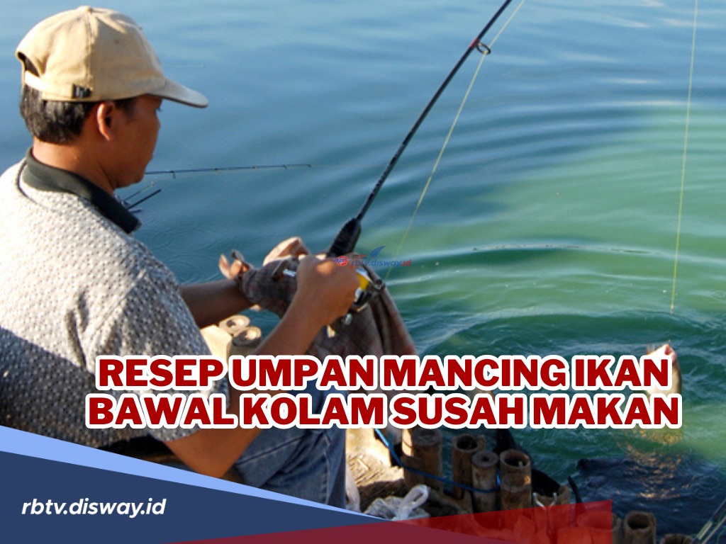 Dijamin Memikat! Ini Resep Umpan Mancing Ikan Bawal Susah Makan, Auto Bawa Pulang Banyak Ikan