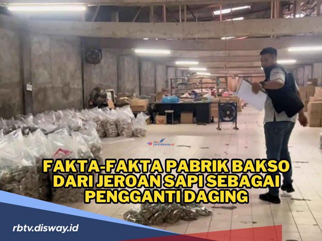 Viral Pabrik Bakso dari Jeroan Sapi Pengganti Daging, Keuntungannya Sampai Rp 15 Juta per Bulan