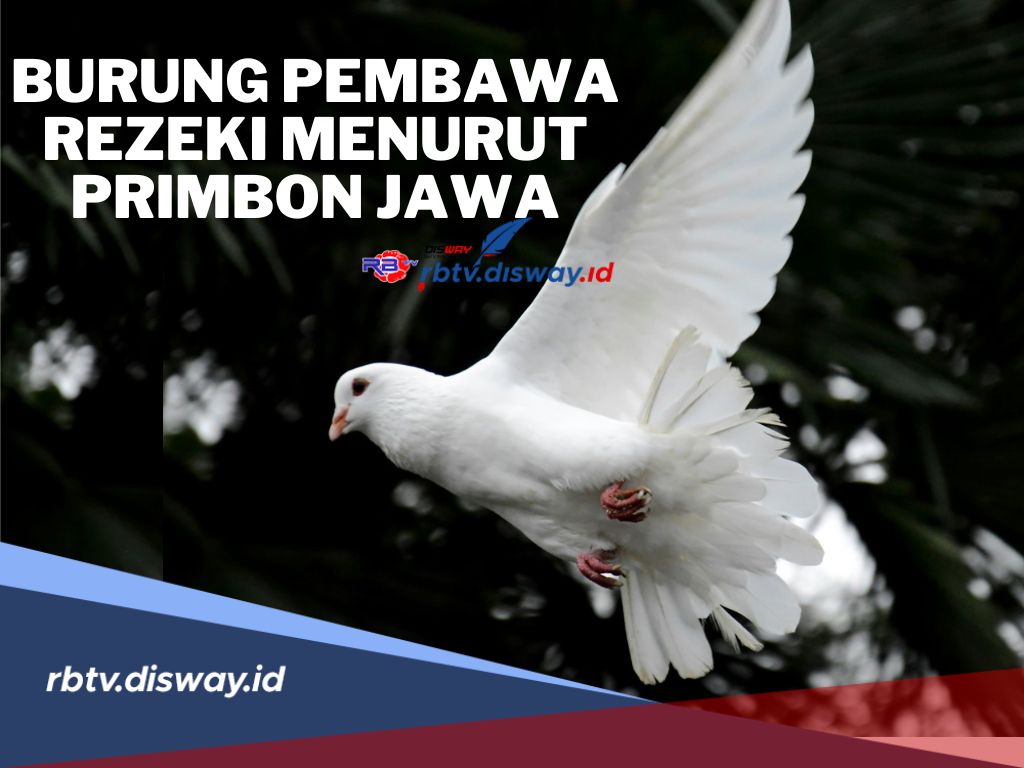 Dijamin Hoki! Ini Burung Pembawa Keberuntungan Menurut Primbon Jawa