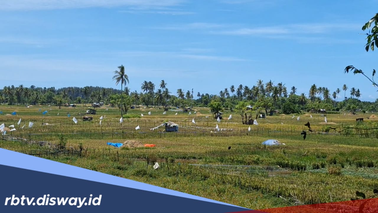 Bendungan Manjunto Kiri Dikeringkan 1 September 2025, Bupati Mukomuko Ajak Petani Gerak Cepat Garap Sawah