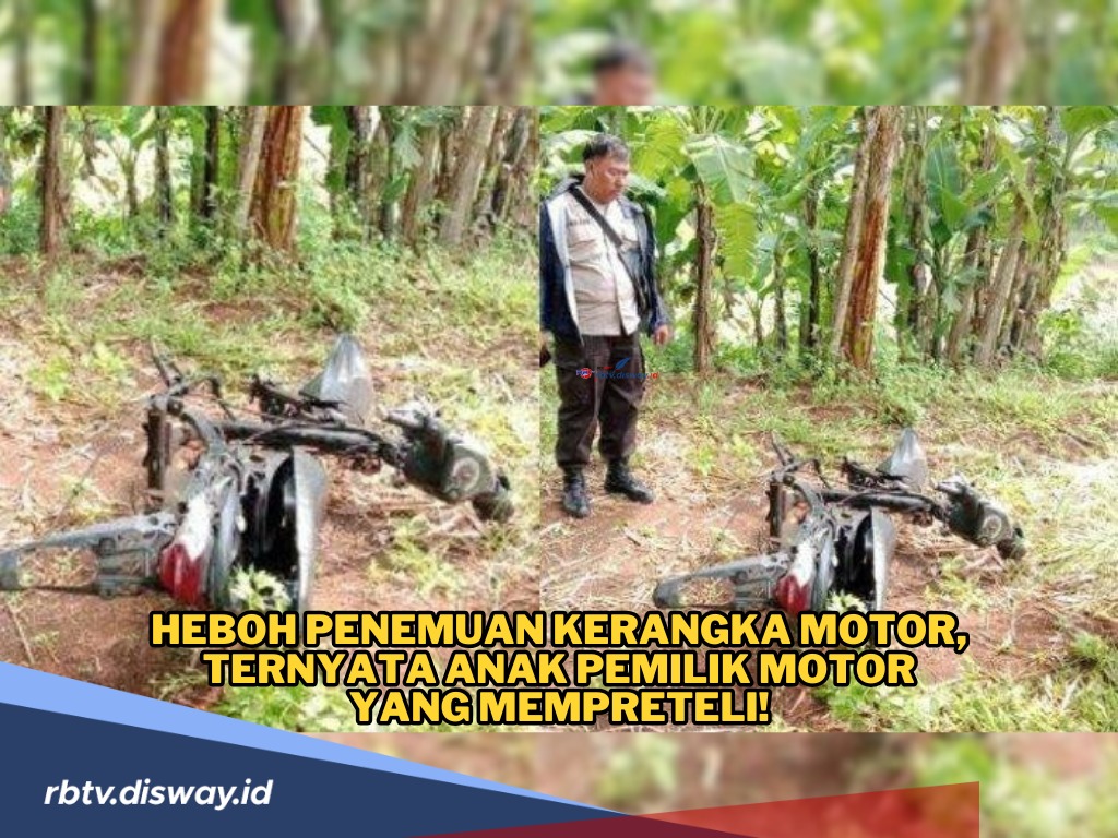 Heboh Penemuan Motor Tinggal Kerangka di Kebun