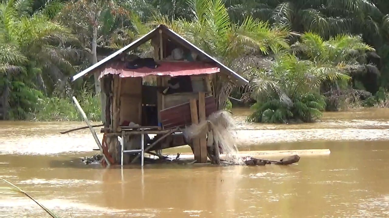 44 Hektare Tanaman Padi dan Jagung di Seluma Rusak Terdampak Banjir, Petani Tak Lagi Dapat Asuransi