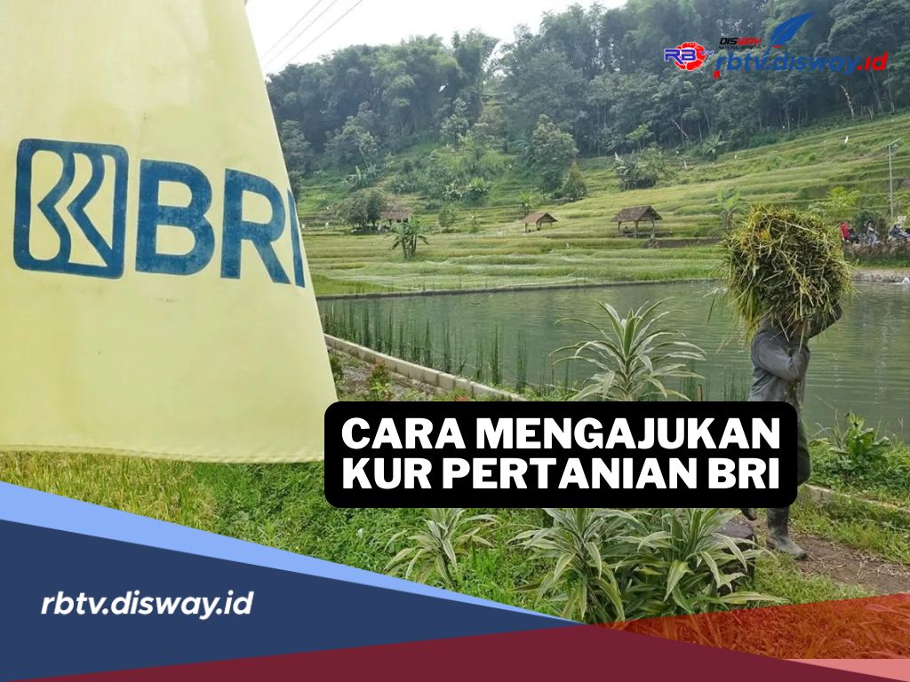 Syarat dan Cara Mengajukan Pinjaman KUR BRI untuk Sektor Pertanian, Lengkap Tabel Angsuran Pinjaman 