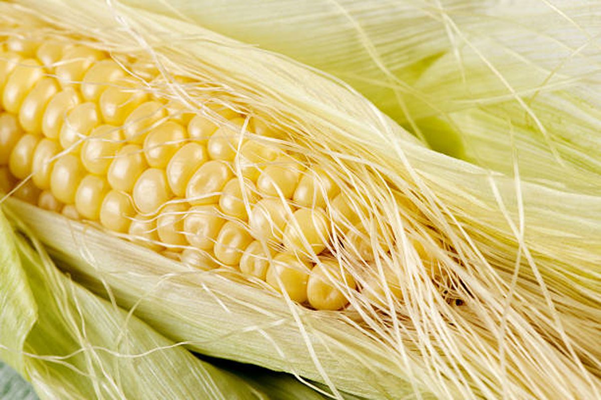 Jangan dibuang, Ini Manfaat Rambut Jagung untuk Kesehatan yang Jarang Diketahui 