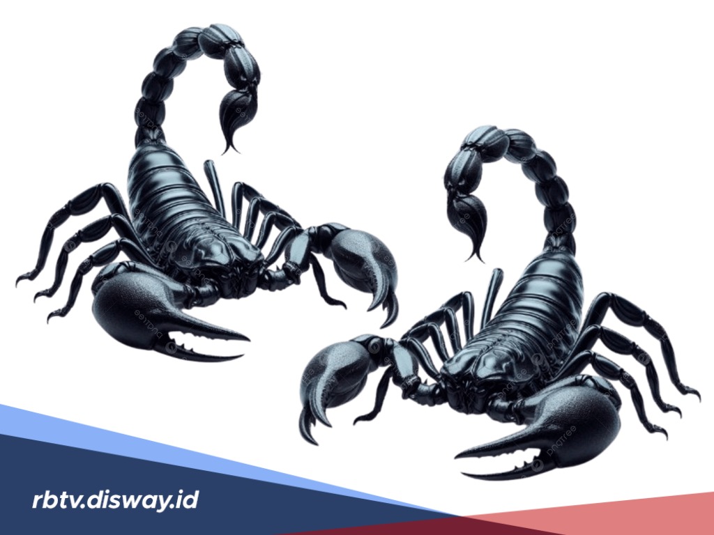 Fakta Unik Kalajengking, Bisa Menahan Napas hingga Enam Hari