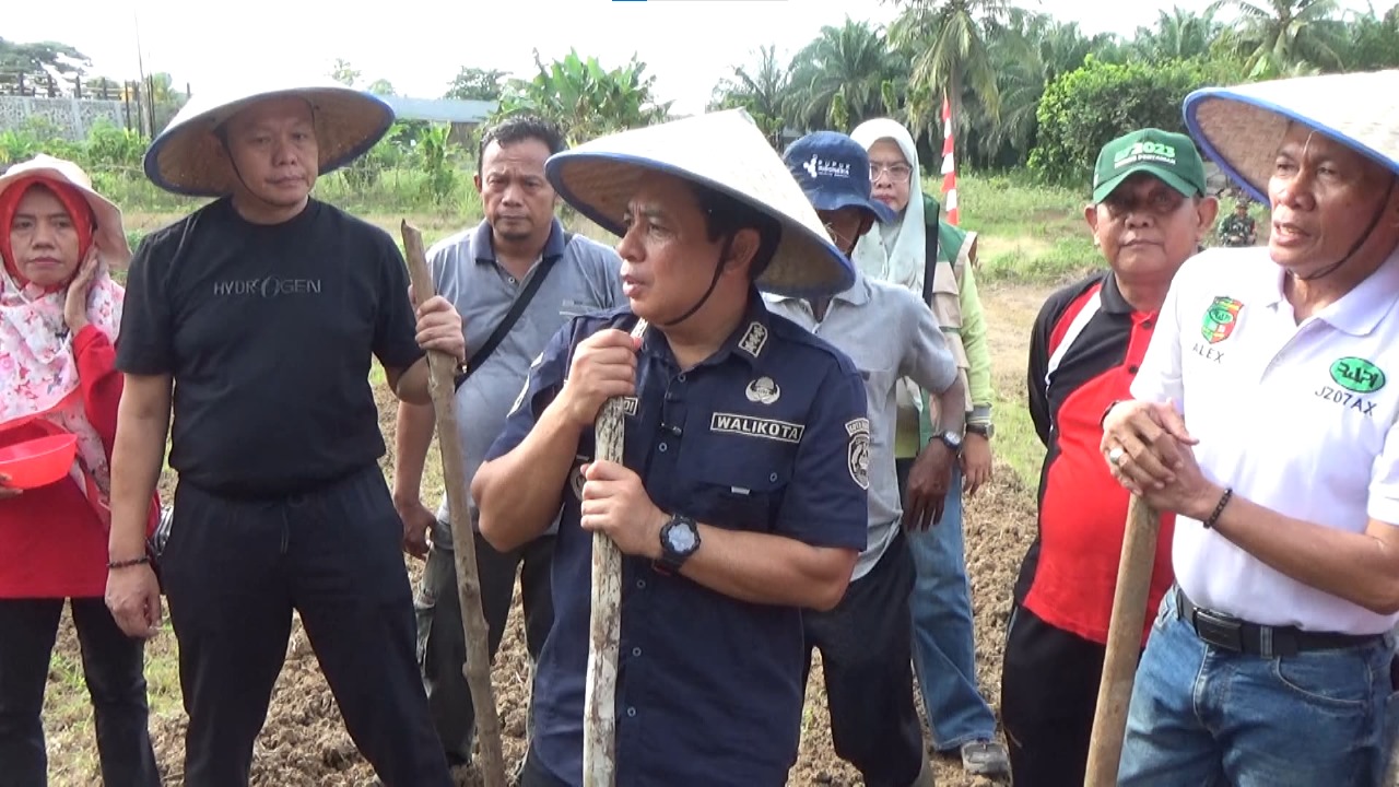 Program Satu Desa Satu Hektare (Sadesahe), Walikota Tanam Jagung di Kelurahan Dusun Besar dan Panorama
