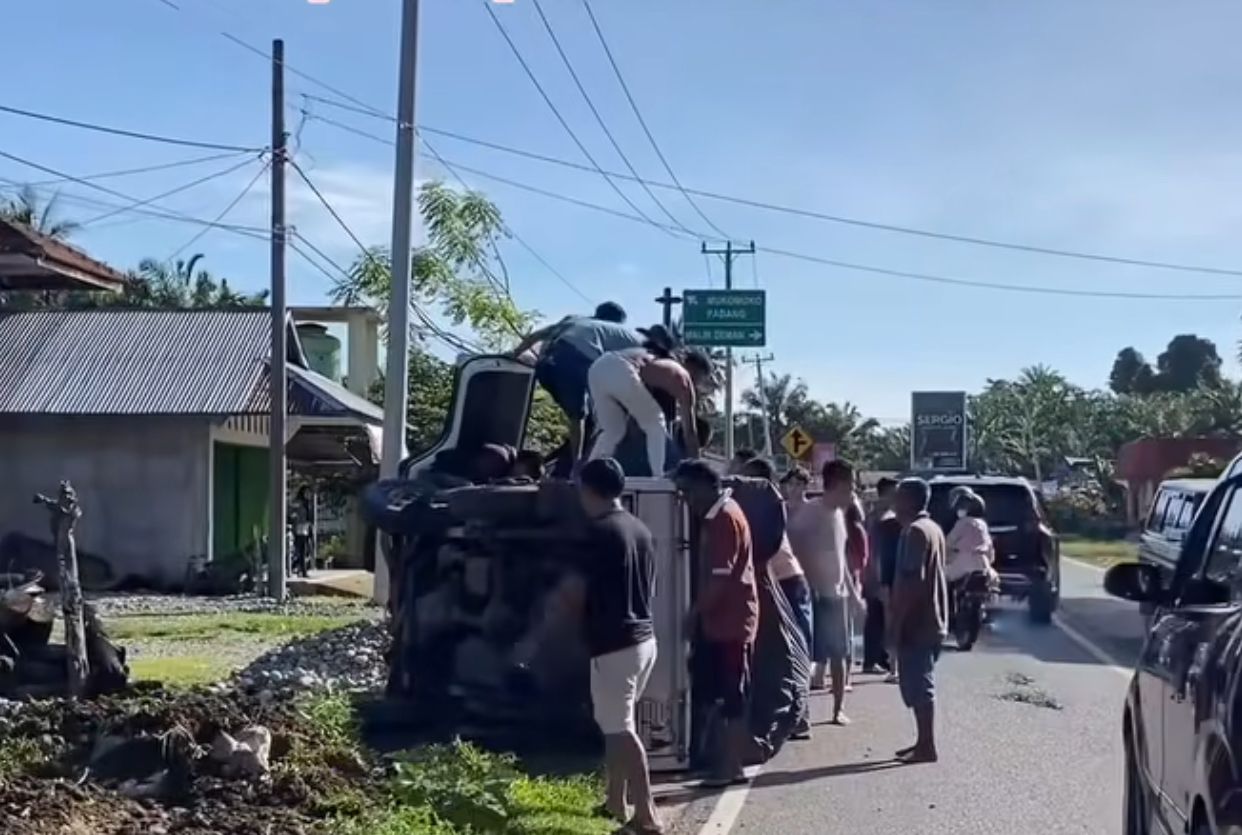 Mobil Pick Up Terguling di Mukomuko, Sempat Dikabarkan Menabrak Sapi