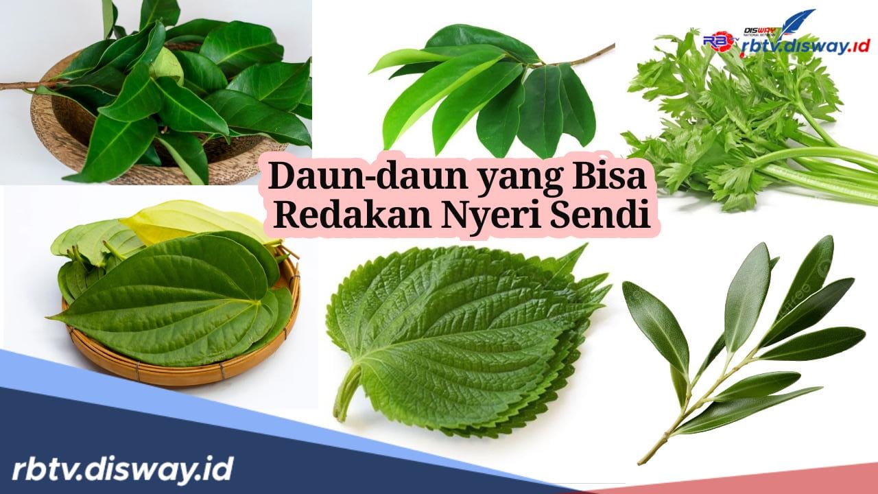 Setop Konsumsi Makanan Berikut, Begini Cara Mengatasi Nyeri Sendi dengan Air Rebusan Daun Ini