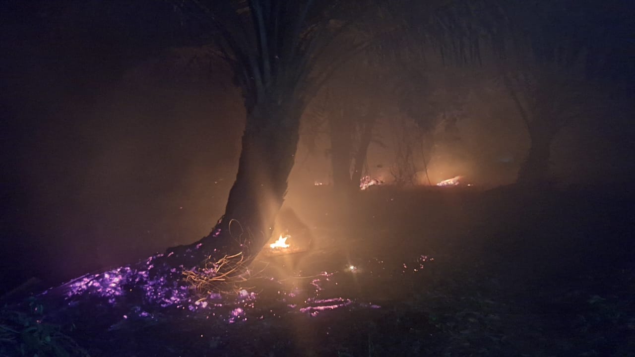 5 Hektar Lahan Kebun Sawit di Mukomuko Terbakar, Diduga Ada Aktivitas Land Clearing Ilegal
