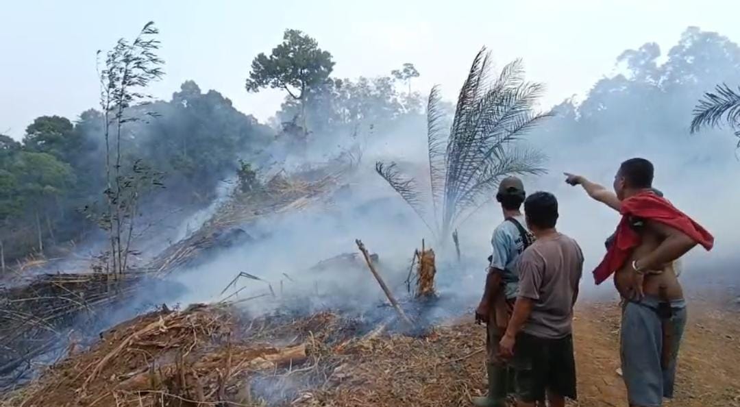Sejak Fenomena El Nino, Peristiwa Karhutla di Bengkulu Tengah Hanguskan 18,5 Hektar Lahan