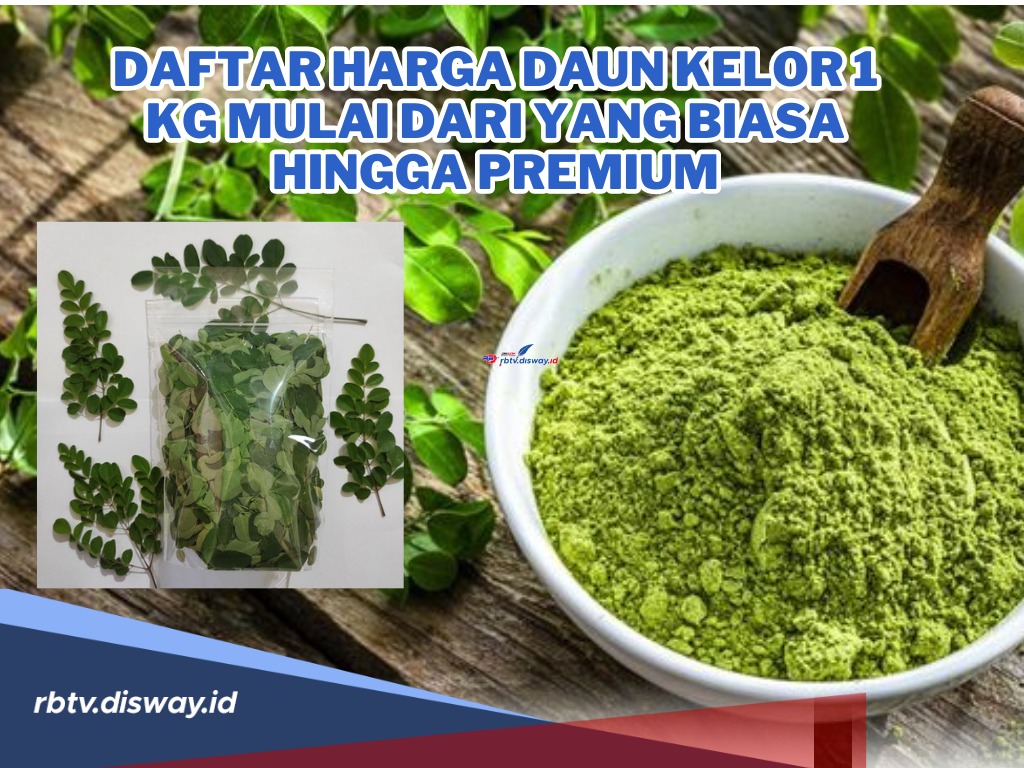 Manfaatnya Banyak! Ini Daftar Harga Daun Kelor 1 Kg Mulai dari yang Biasa hingga Premium