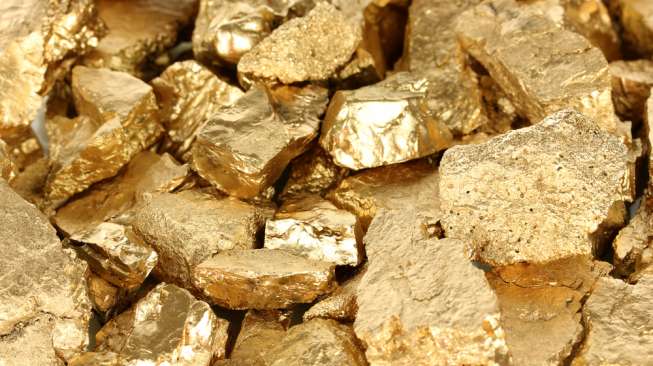 Harta Karun Emas 50 Kg Tertimbun di Tanah Sumatera Barat, Apakah Masih Ada?