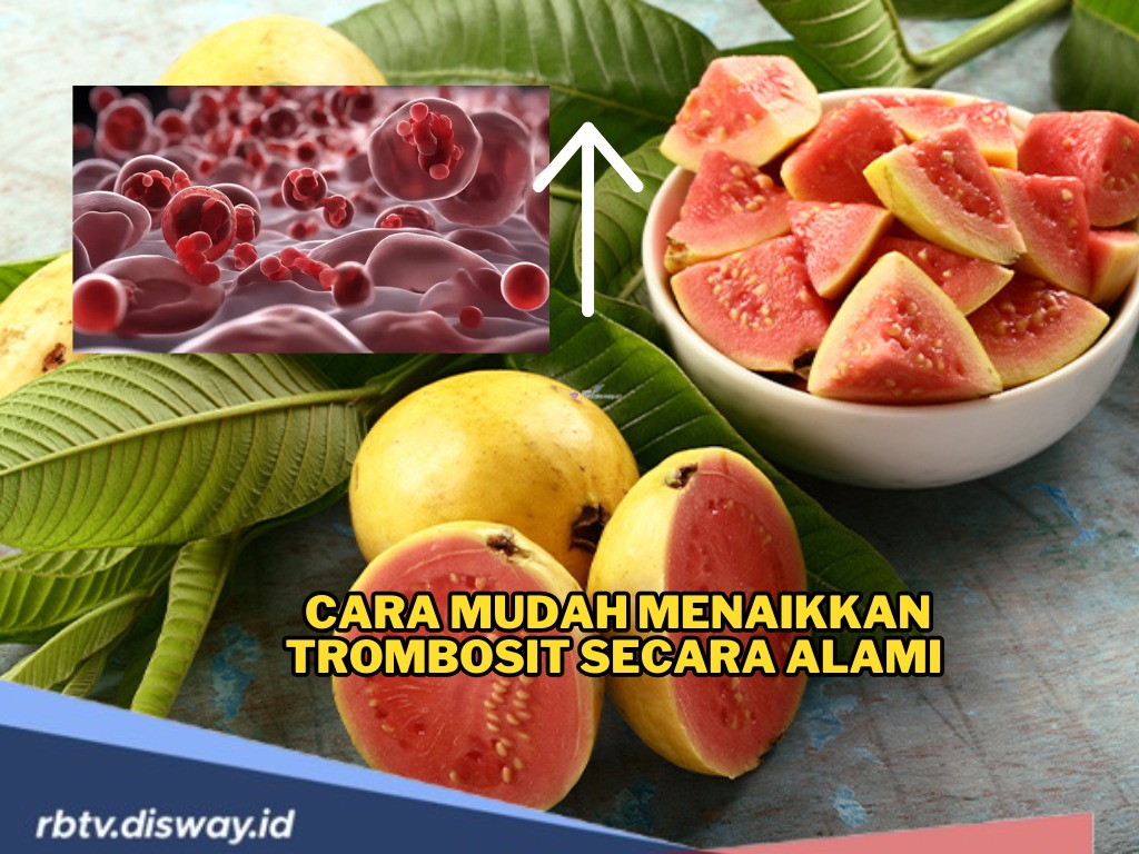 Cara Mudah Menaikkan Trombosit Secara Alami dengan 15 Makanan yang Ada di Dapur Sendiri!