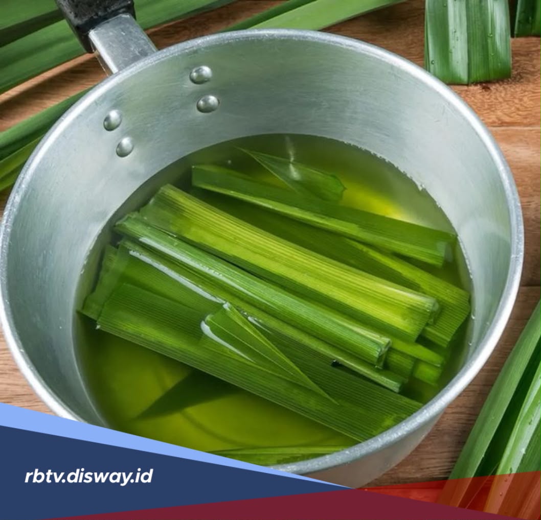 Perlu Tahu, Ini Manfaat Daun Pandan untuk Kesehatan dan Cara Mengolahnya