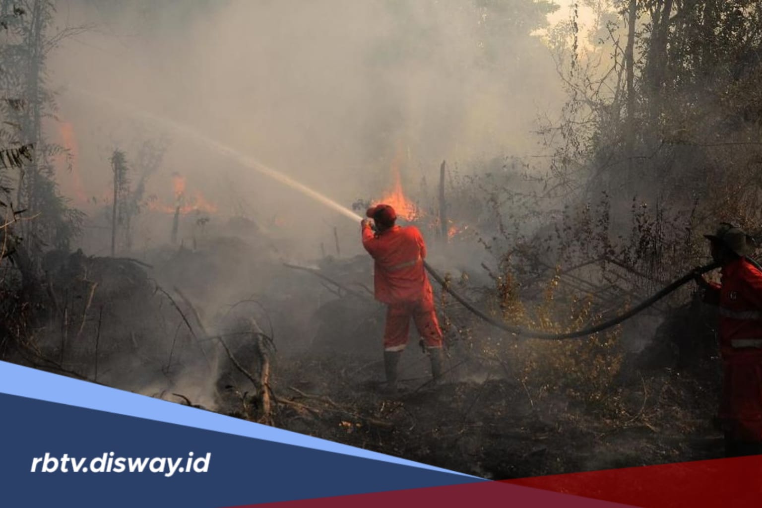 10 Provinsi Ini Paling Rentan Karhutla, Daerahmu Termasuk?