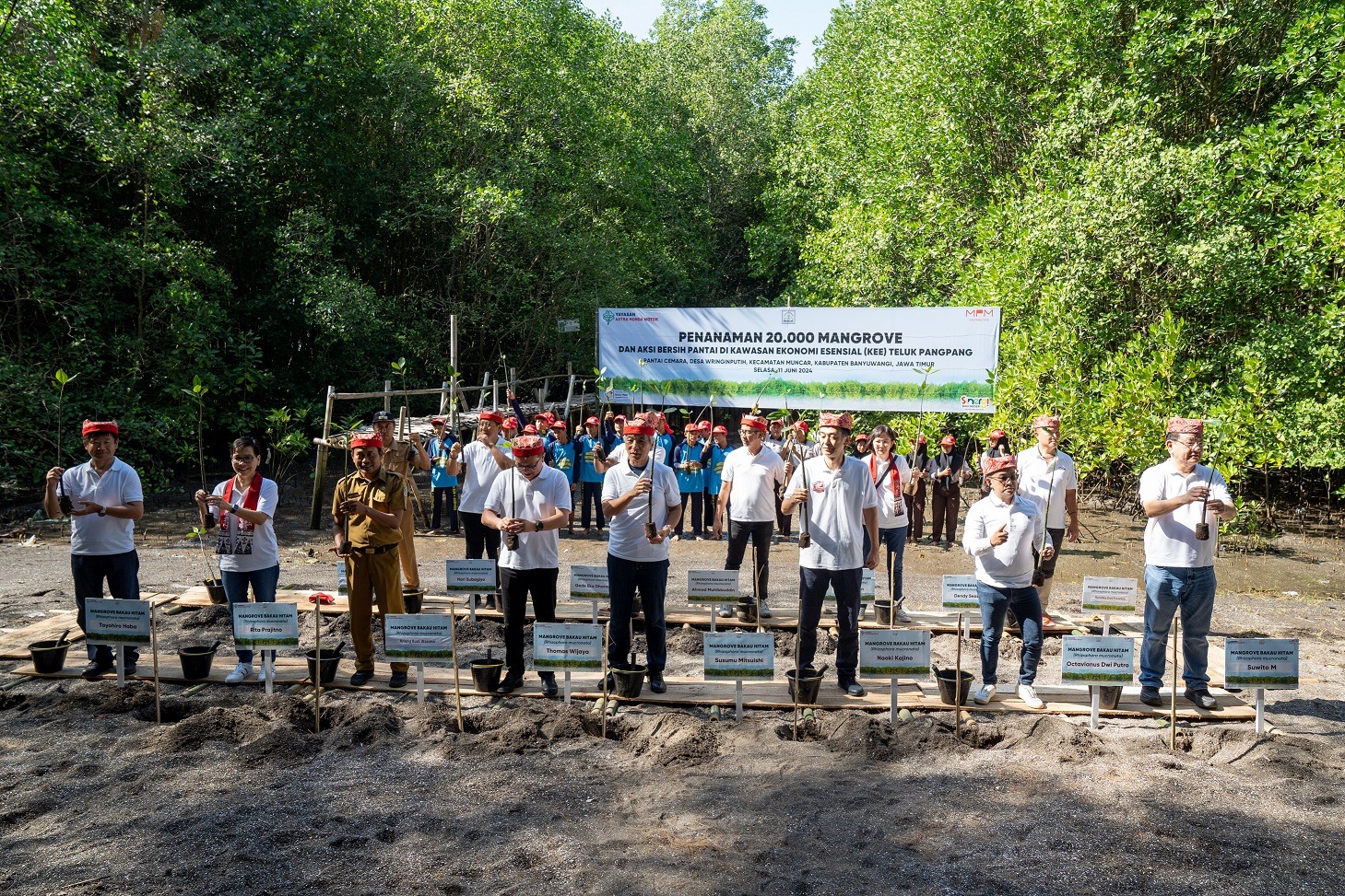 Tanam 20.000 Mangrove di KEE Teluk Pangpang, Cara AHM Peringati Hari Lingkungan Hidup Sedunia