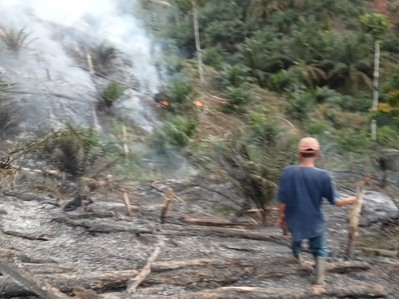 Kebun Sawit Warga Talo Kecil Hangus Terbakar Diduga Ulah Oknum Buka Lahan Baru 