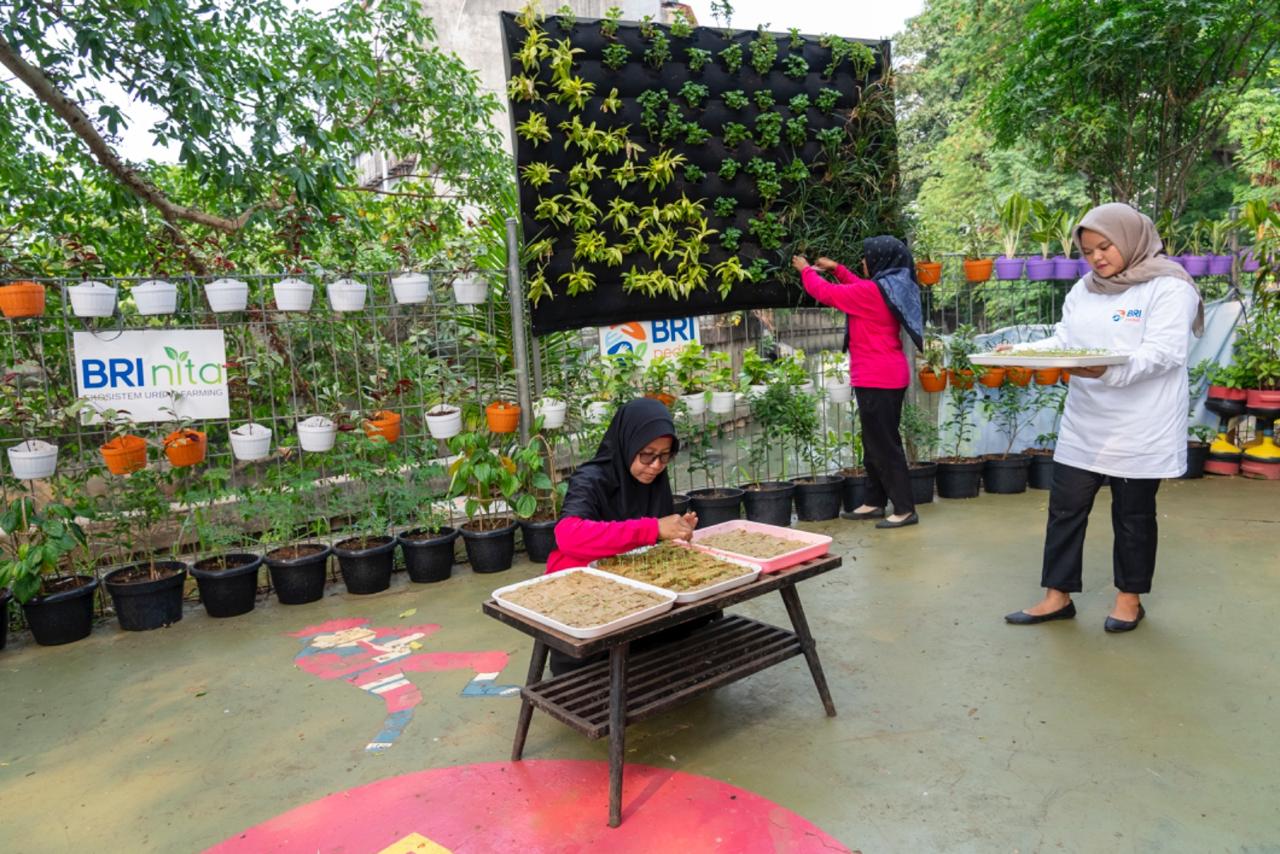 BRI Diakui atas Peran Nyata dalam Urban Farming dan Pemberdayaan Perempuan