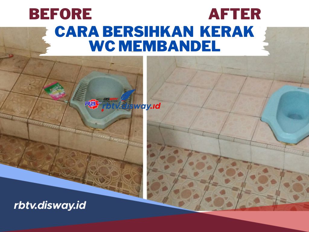 Hitungan Menit Langsung Beres, Begini Cara Ampuh Bersihkan WC Berkerak, Buktikan Sendiri