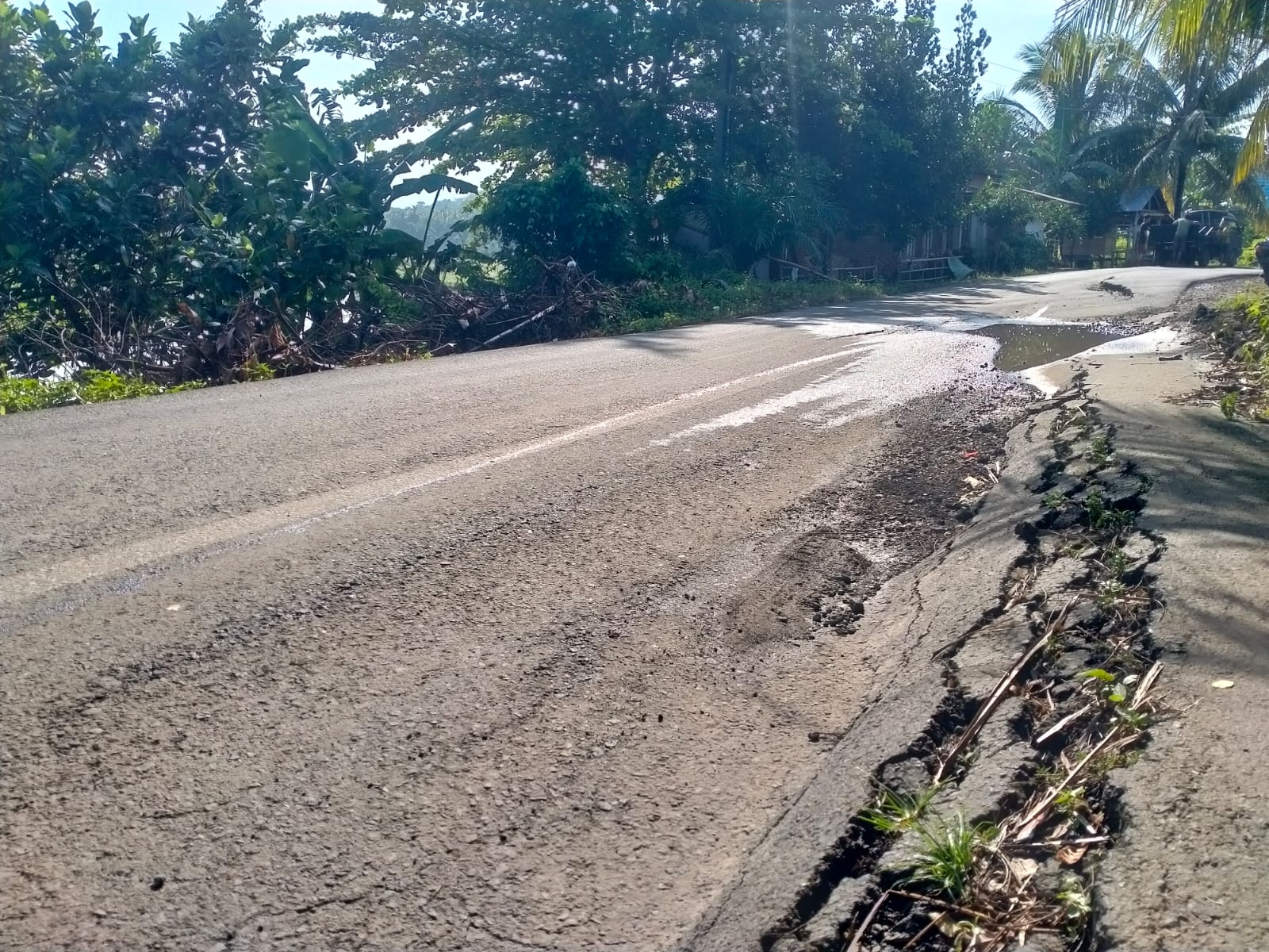 Edaran Dilarang Melintas Diabaikan Sopir Truk, Jalan Jago Bayo Semakin Rusak