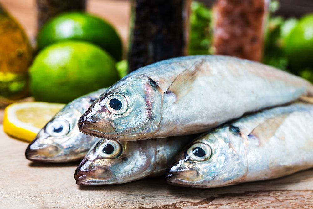 Jangan Menyimpan Ikan Tongkol di Tempat Ini Bisa Beracun, Emak-emak Wajib Tahu