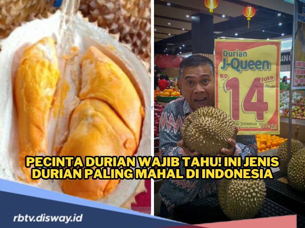 Pecinta Durian Wajib Tahu! Ini Jenis Durian Paling Mahal di Indonesia, Harganya Fantastis 