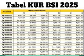 Naikkan Kelas Usaha dengan Pinjaman KUR BSI Rp 50 Juta, Tanpa Bunga Tanpa Jaminan