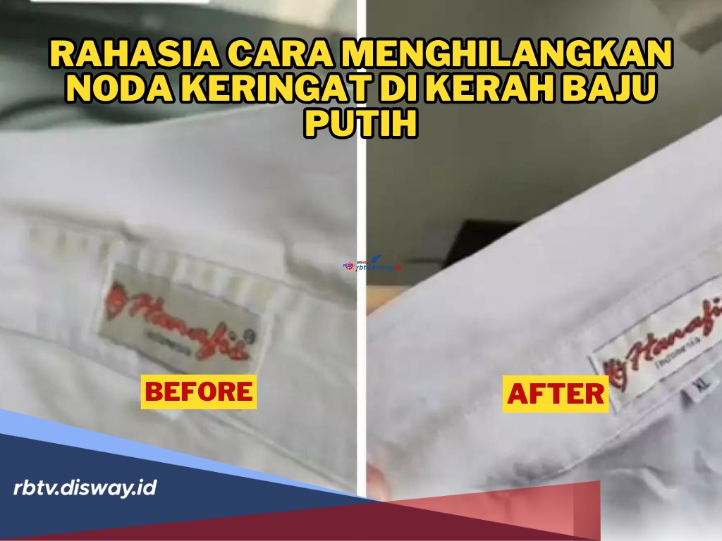 Kerah Baju Auto Putih Bersih! Ini Rahasia Cara Menghilangkan Noda Keringat di Kerah Baju Putih