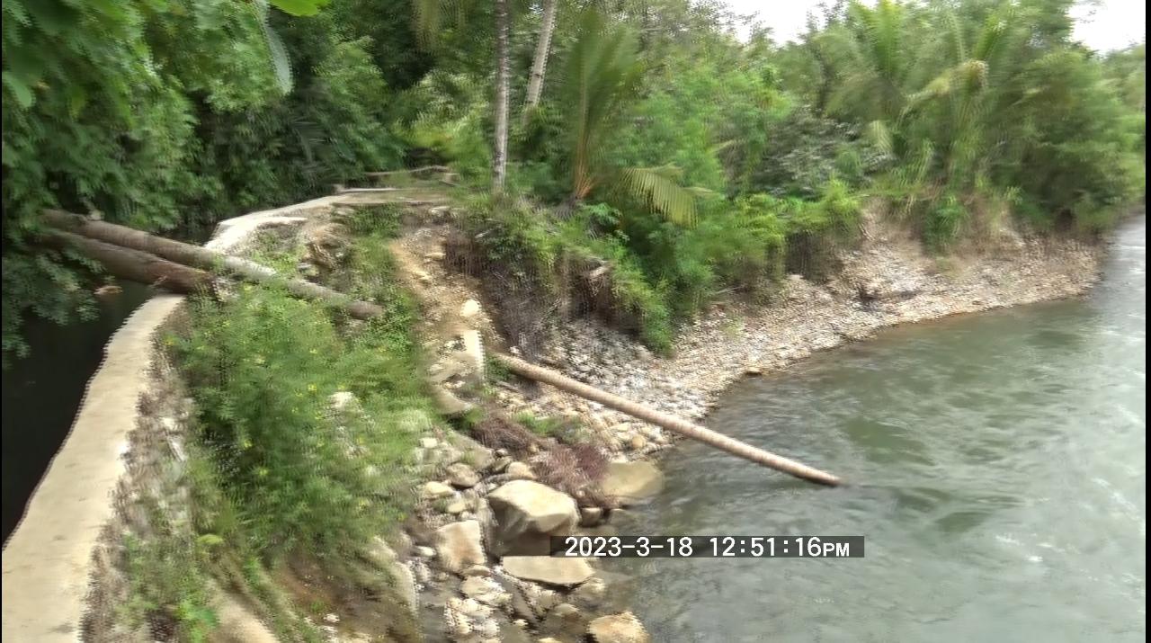 Ratusan Hektare Sawah di Kinal Terancam Alih Fungsi, Petani Minta Pemkab Segera Bertindak