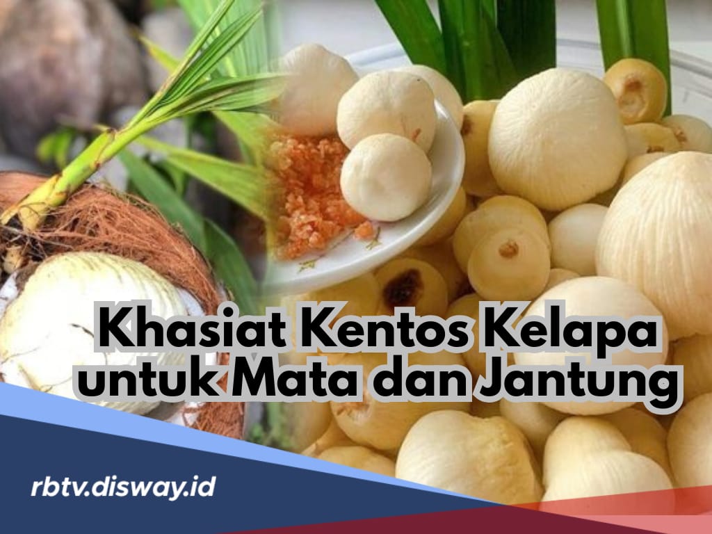 Dapatkan Khasiatnya, Ini Cara Konsumsi Kentos Kelapa untuk Mata dan Jantung