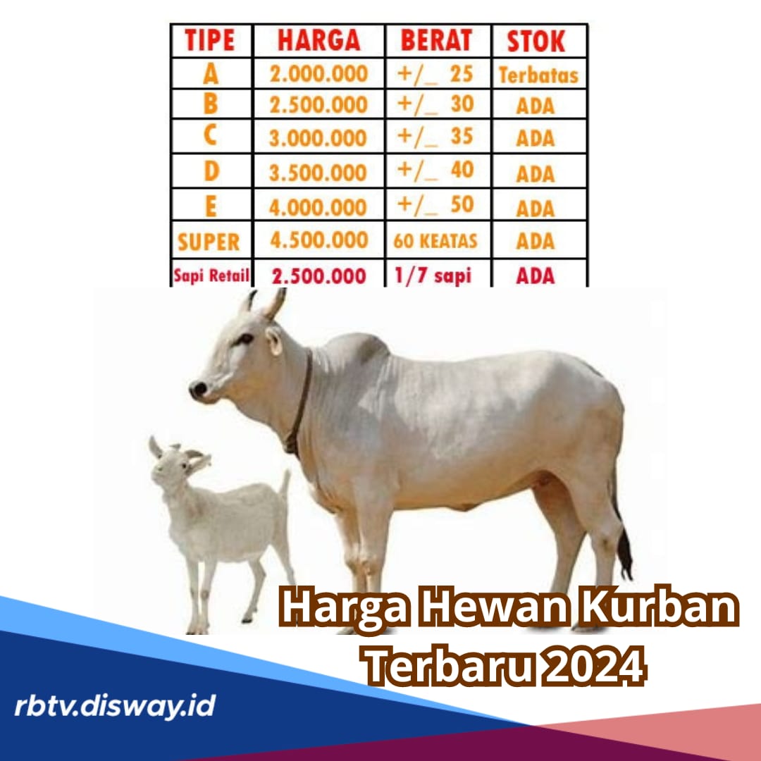 Jelang Idul Adha, Ini Harga Hewan Kurban Terbaru 2024 untuk Kambing dan Sapi