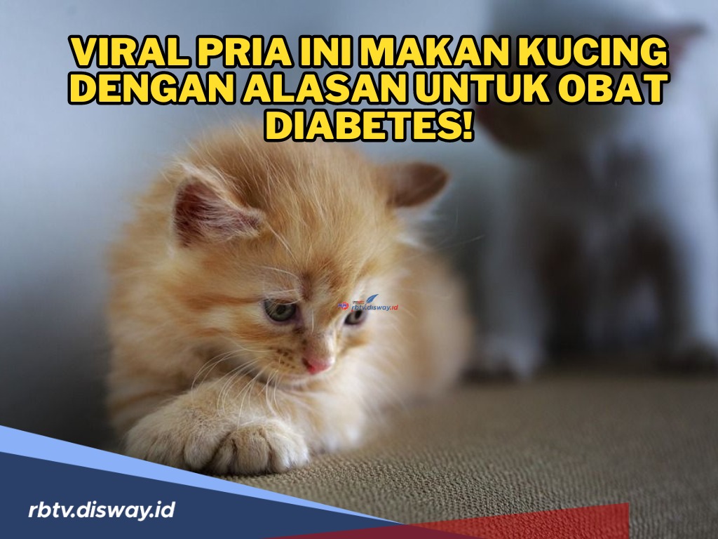 Pemilik Kosan Ini Terciduk Sedang Menyantap Daging Kucing, Alasan Obat Diabetes, Pengakuannya Sudah 10 Kali 