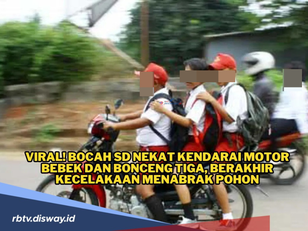 Nekat Naik Motor Berboncengan Tiga, Bocah SD Berujung Tabrak Pohon