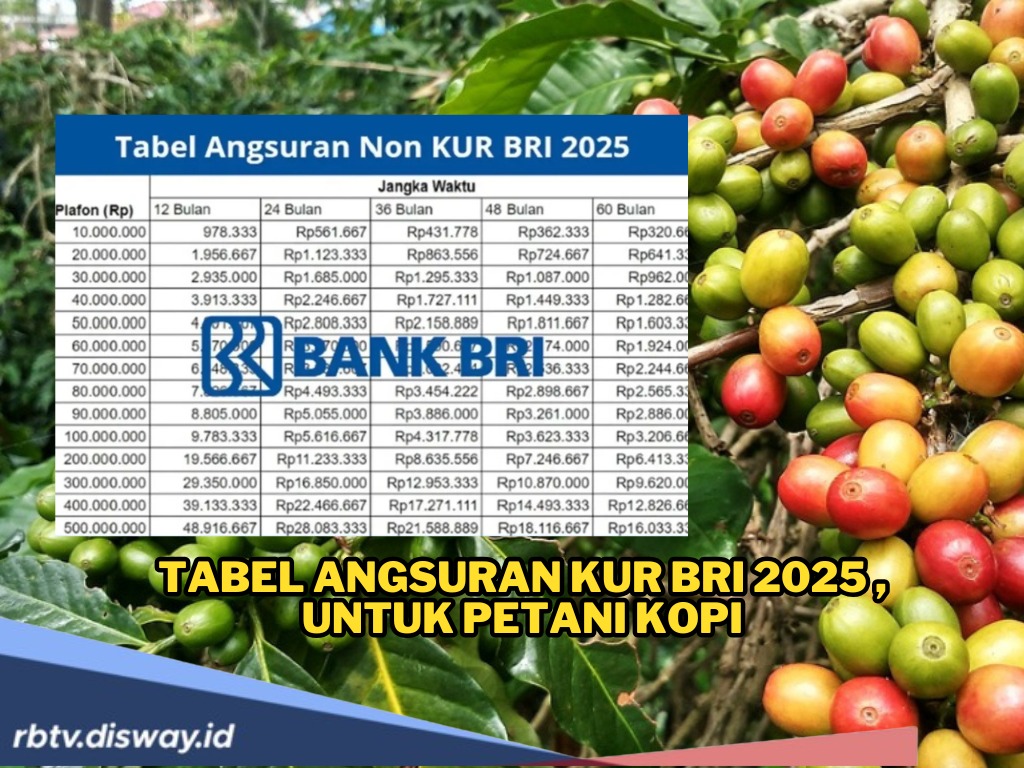  Tabel KUR BRI 2025 dari Rp5 Juta sampai Rp100 Juta untuk Modal Tambahan Petani Kopi