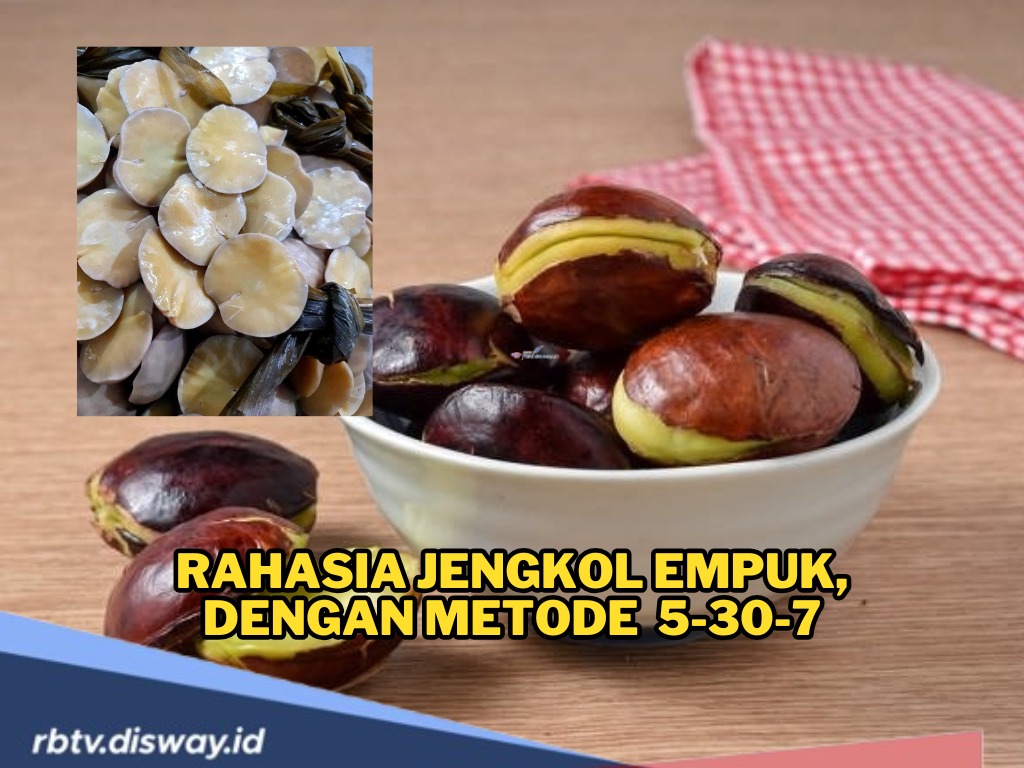 Jangan Salah Teknik, Begini Cara Merebus Jengkol Metode 5-30-7, Dijamin Empuk dan Nggak Bau