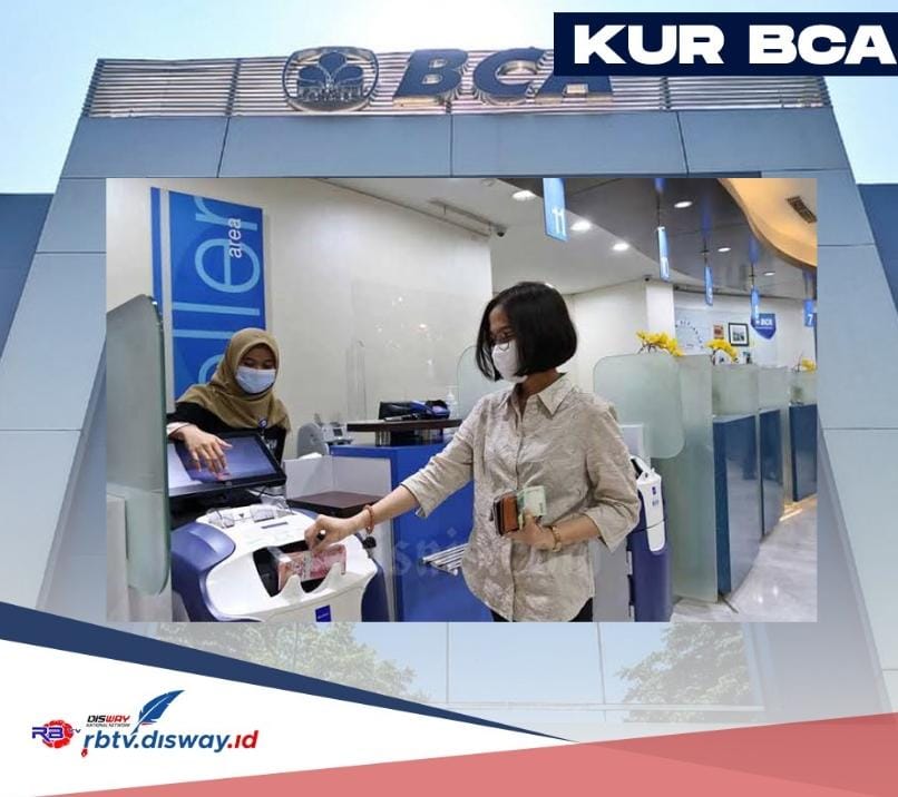 Strategi Pengajuan KUR BCA 2024 Cair Sampai Rp 500 Juta Tetapi Bunga Tetap Rendah 