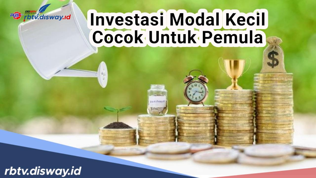 Untuk Kamu Pemula, Ini 7 Jenis Investasi Modal Kecil Janjikan Keuntungan