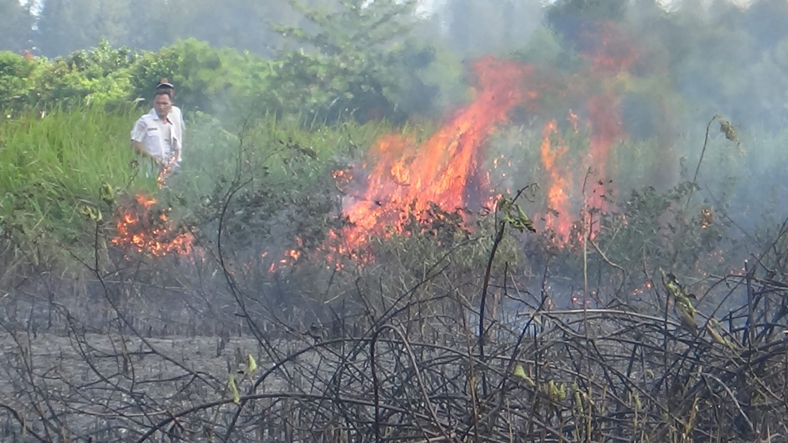 Lahan di Bandara Mukomuko Terbakar, Diduga Akibat Puntung Rokok