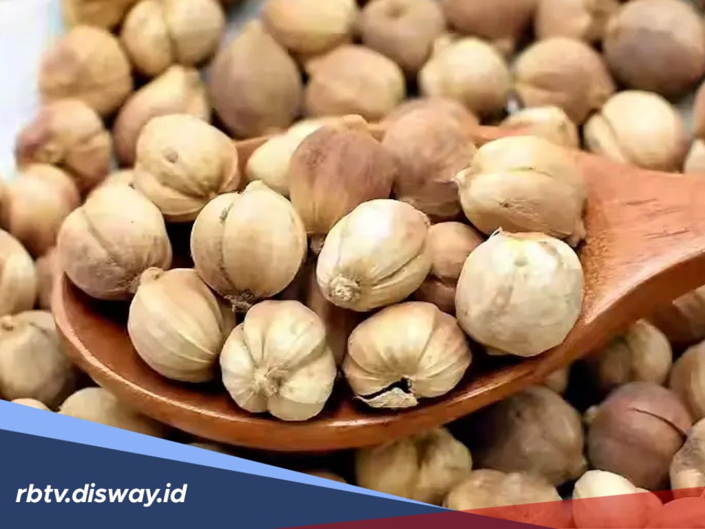 Dijuluki ‘Raja Rempah’, Berikut 5 Manfaat Kapulaga untuk Kesehatan