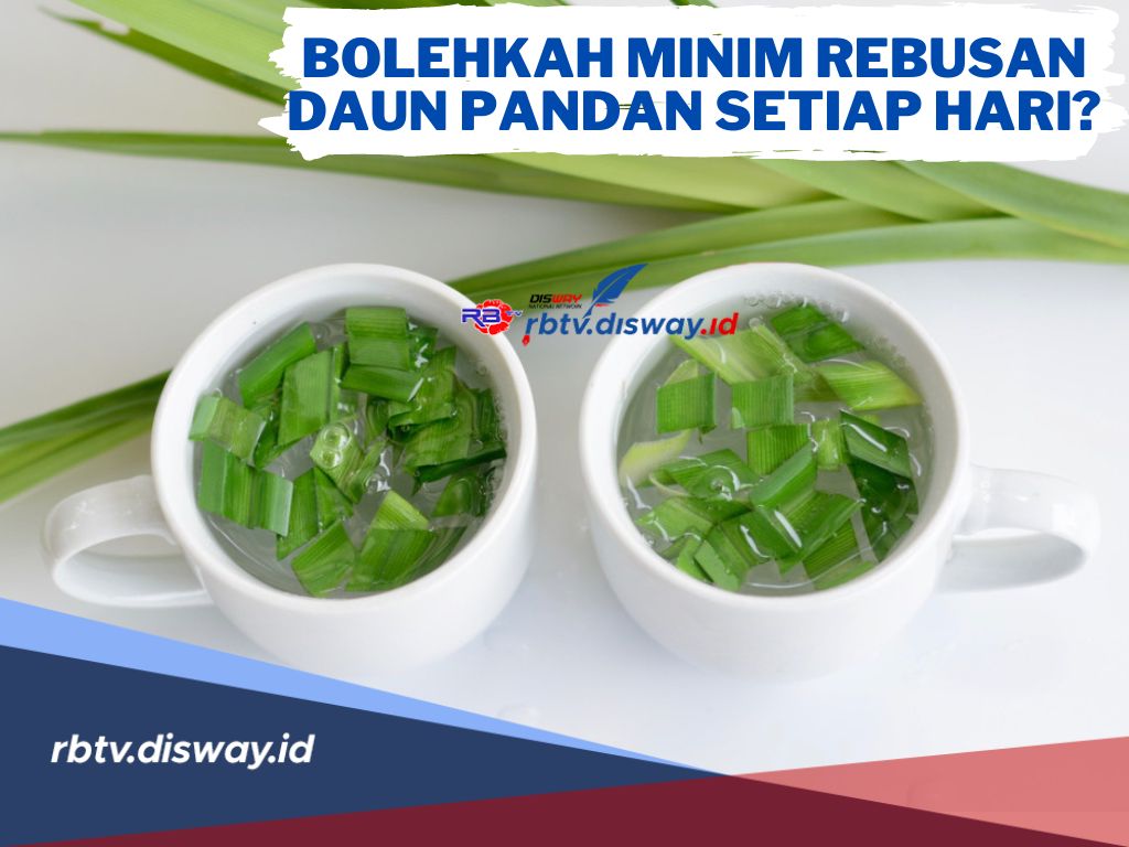 Bolehkan Minum Rebusan Daun Pandan Setiap Hari? Begini Aturannya Jangan Dilanggar