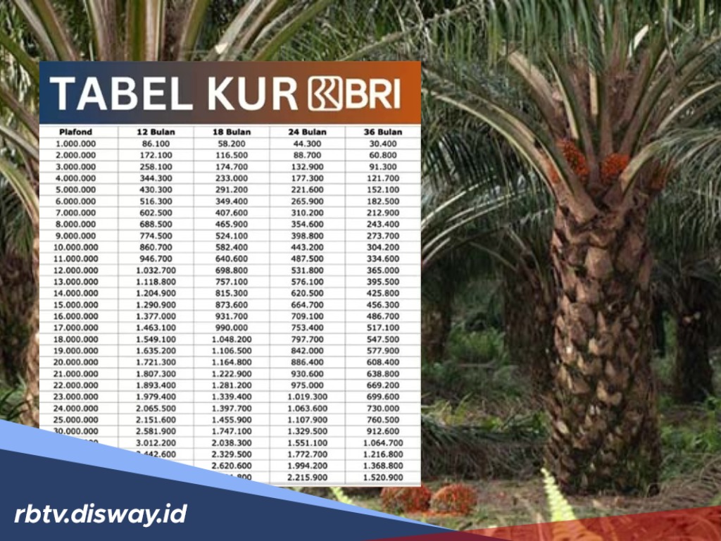 Pinjaman KUR BRI Rp 90 Juta untuk Petani Sawit, Bunga Rendah, Bisa Beli Kebun Baru 