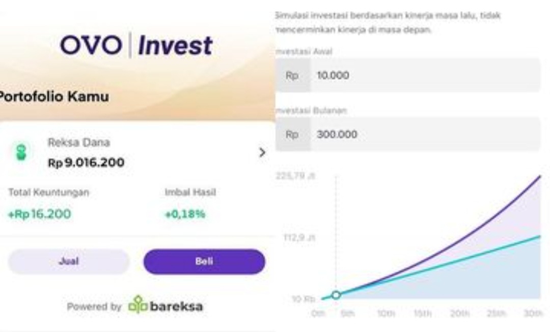 Investasi di OVO Bisa Untung Puluhan Juta, Modal Cukup Rp10.000, Begini Caranya