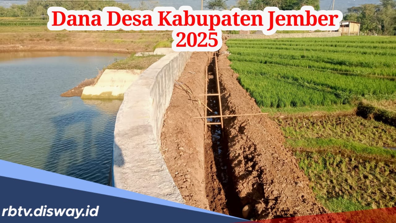 Ada 9 Desa Terima Anggaran Rp 2 Miliar, Ini Rincian Dana Desa di Kabupaten Jember Tahun 2025 