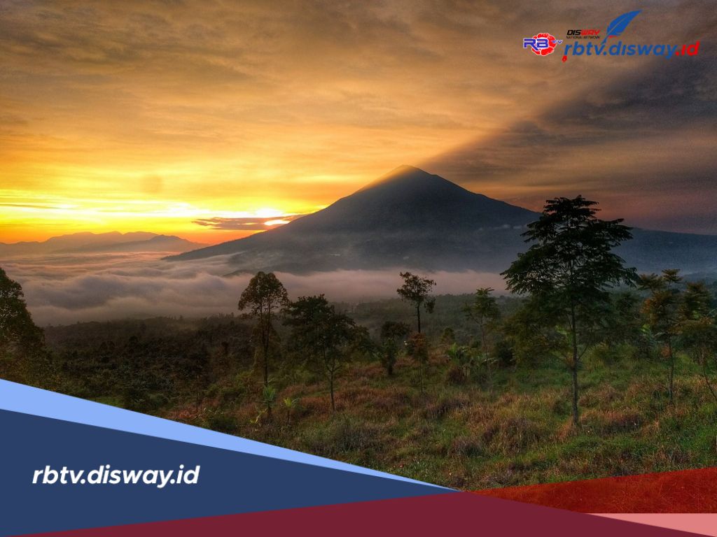 Jalur Pendakian Gunung Cikuray Jawa Barat 2025 yang Aman untuk Pemula